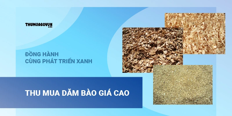 Thu Mua Dăm Bào Giá Cao – Đồng Hành Cùng Phát Triển Xanh